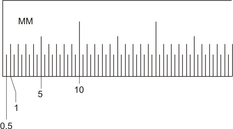 Graduation on metric rule (Magnified)