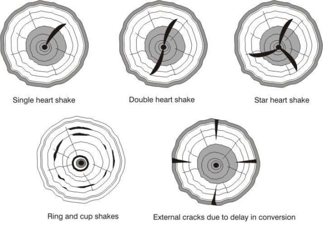 Types of shakes