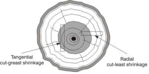 Cupping defect