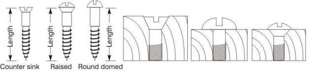 Screw head shapes