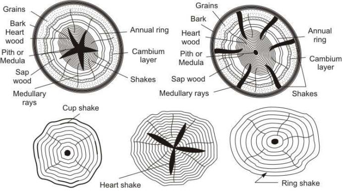 Types of shakes