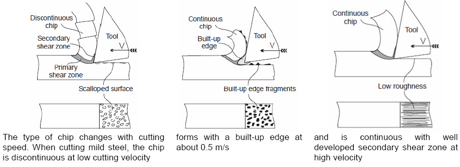 Types of chips